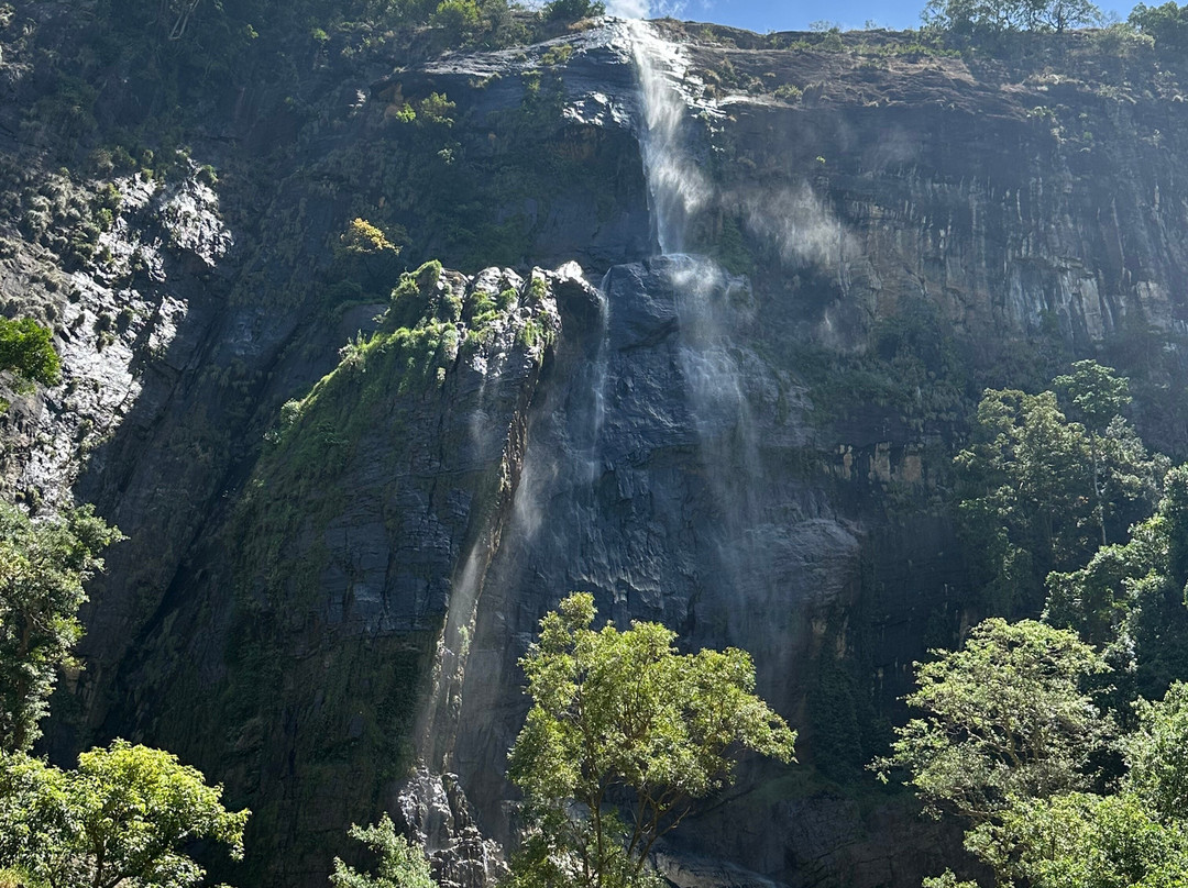 Eco Love Tours-加勒必去景点