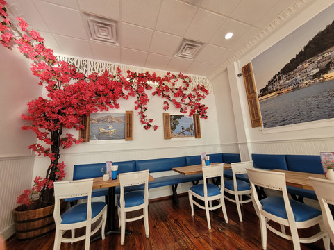 Ela greek cypriot restaurant