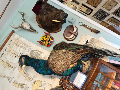 Morbitorium-卡菲利必去景点