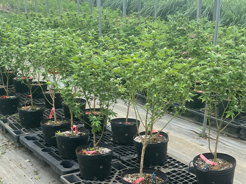 Jacana Farm Tours-奥乔里奥斯必去景点