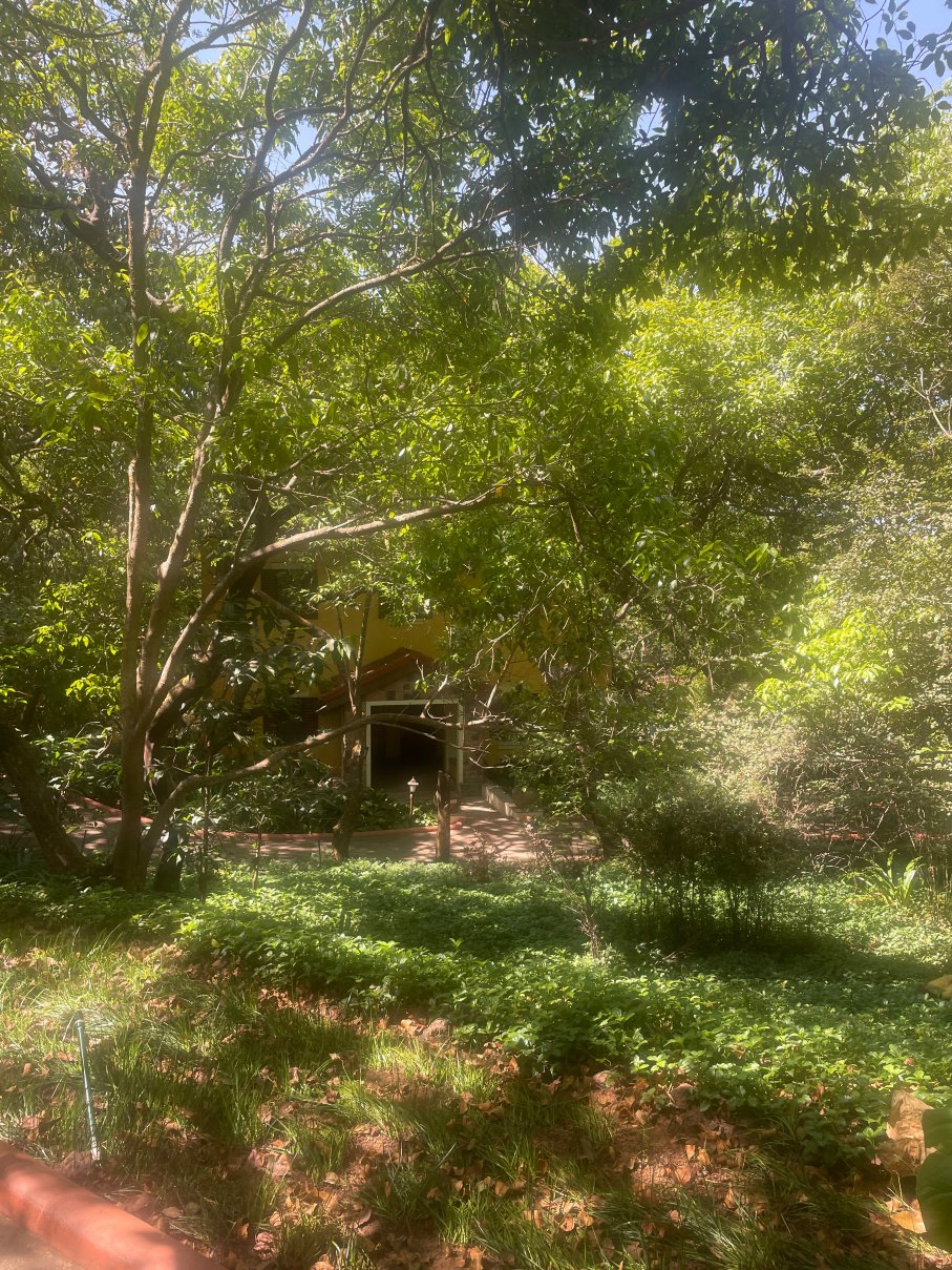 麦哈巴勒莎瓦艾美水疗度假村-官方