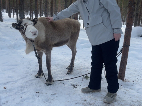 Idre Fjallens Snoskoteruthyrning-Idre必去景点
