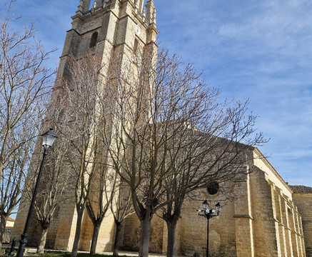 Colegiata de San Miguel-Ampudia必去景点