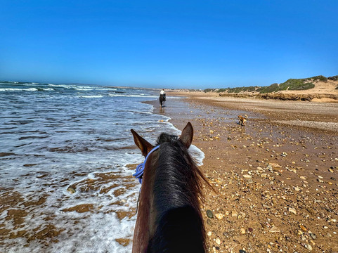 Cheval Essaouira-索维拉必去景点