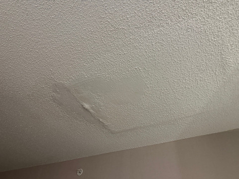 SpringHill Suites Lansing主图