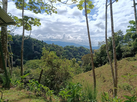 Eco Chontales Waterfall-San Isidro del General必去景点