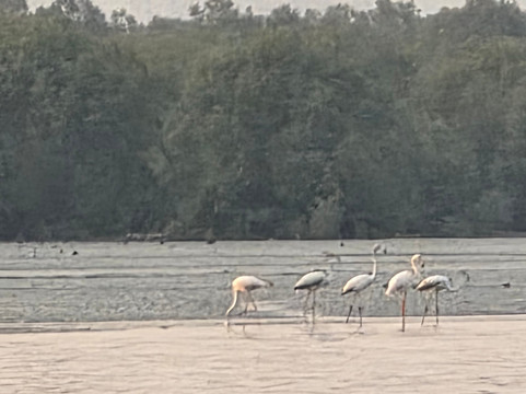 Wildnest Travel & Photography-孟买必去景点