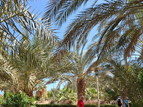 格乌纳高尔夫度假施柏阁酒店