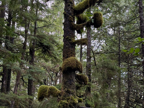 Amphitrite Point Lighthouse-尤克卢利特必去景点