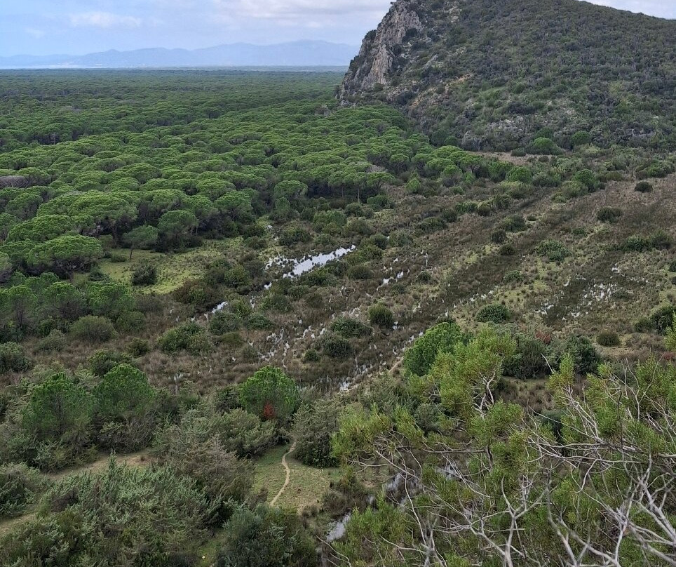 Parco Naturale della Maremma-Alberese必去景点