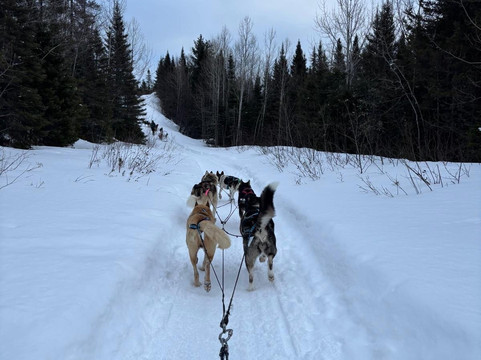 Bosco Charlevoix-Saint-Simeon必去景点