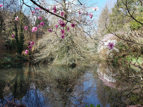 Fast Rabbit Farm Gardens-达特茅斯必去景点