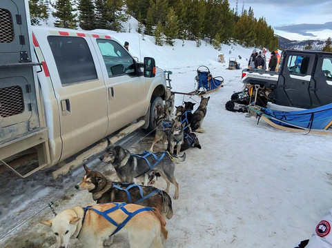 Spirit of the North Sled Dog Adventures-Ennis必去景点