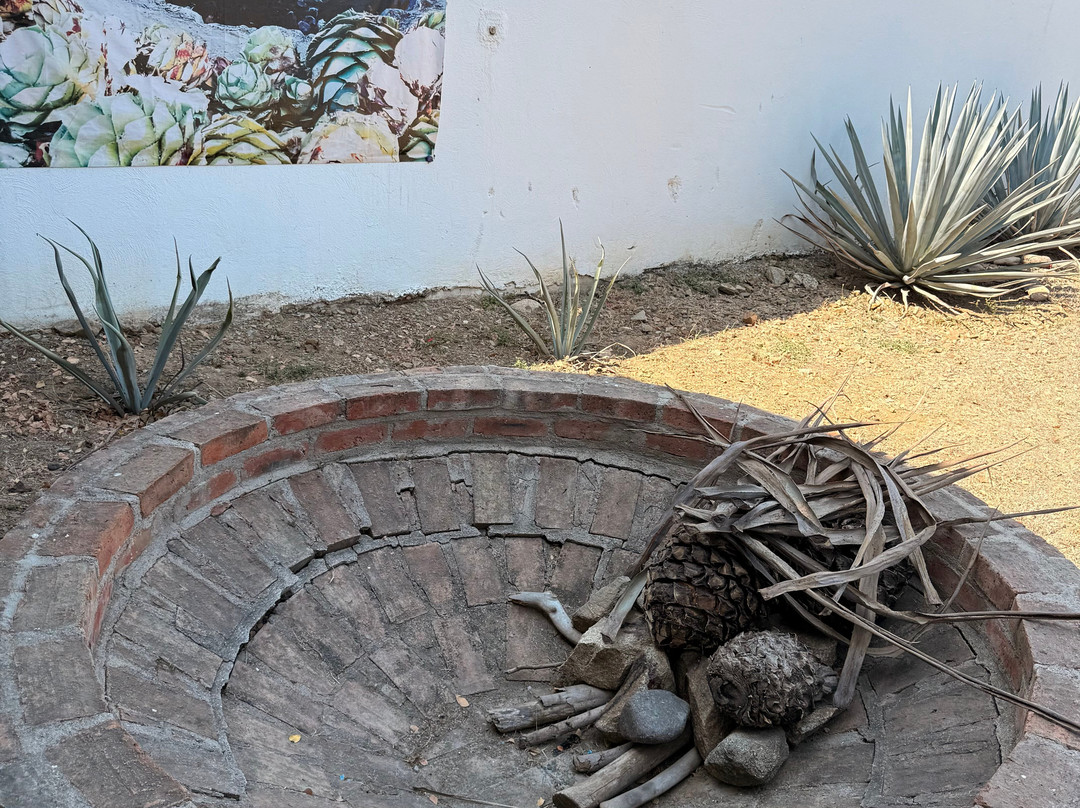 Los 2 Amigos Tequila Museum & Tasting Gallery-La Cruz de Huanacaxtle必去景点