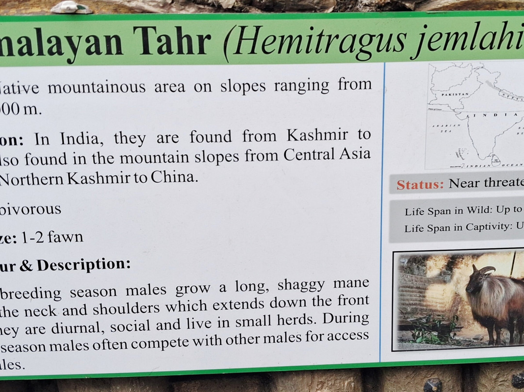 Padmaja Naidu Himalayan Zoological Park-大吉岭必去景点