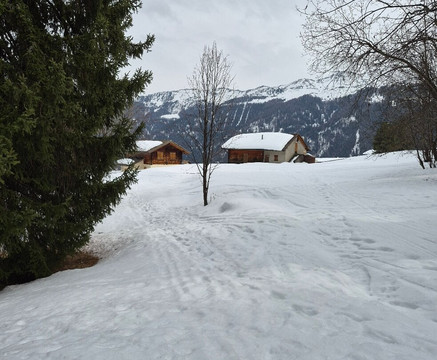 Nendaz 4 Vallees-Nendaz必去景点