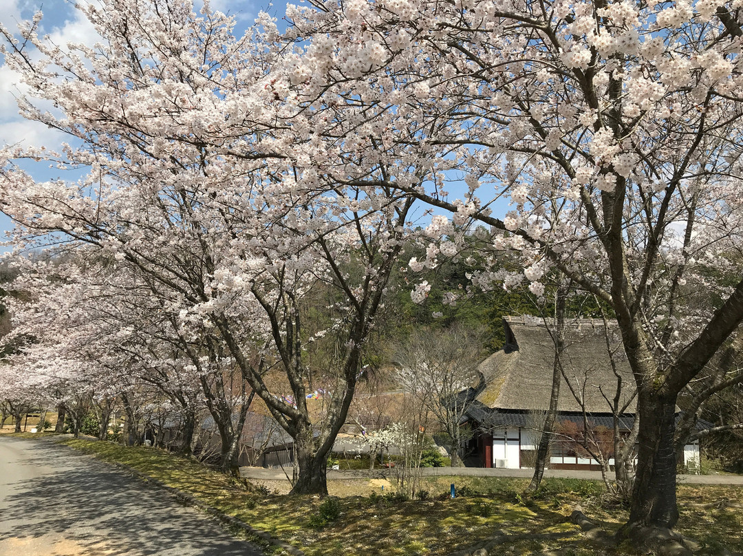 Yunokuni no Mori-小松市必去景点