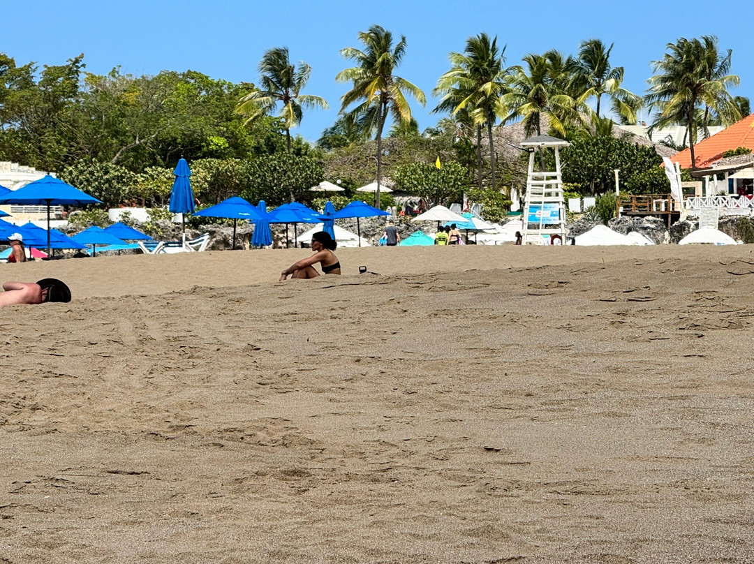 Playa Alicia-苏莎亚必去景点