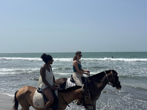 Kotu Horses-Kotu必去景点