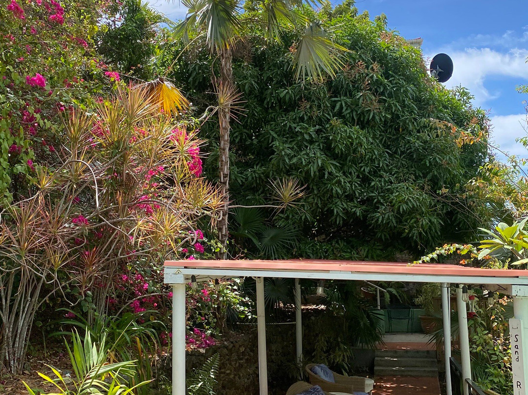 绿鬣蜥酒店主图