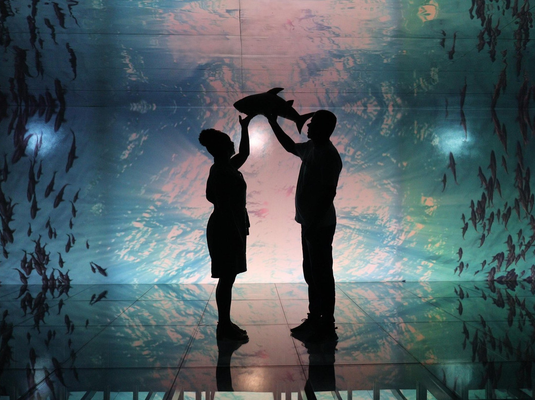 AquaRio-里约热内卢必去景点