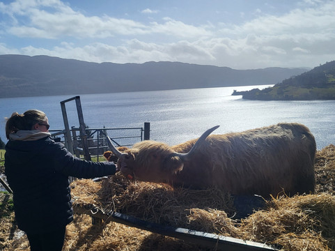 Loch Ness Hub & Travel-德拉姆纳德罗希特必去景点