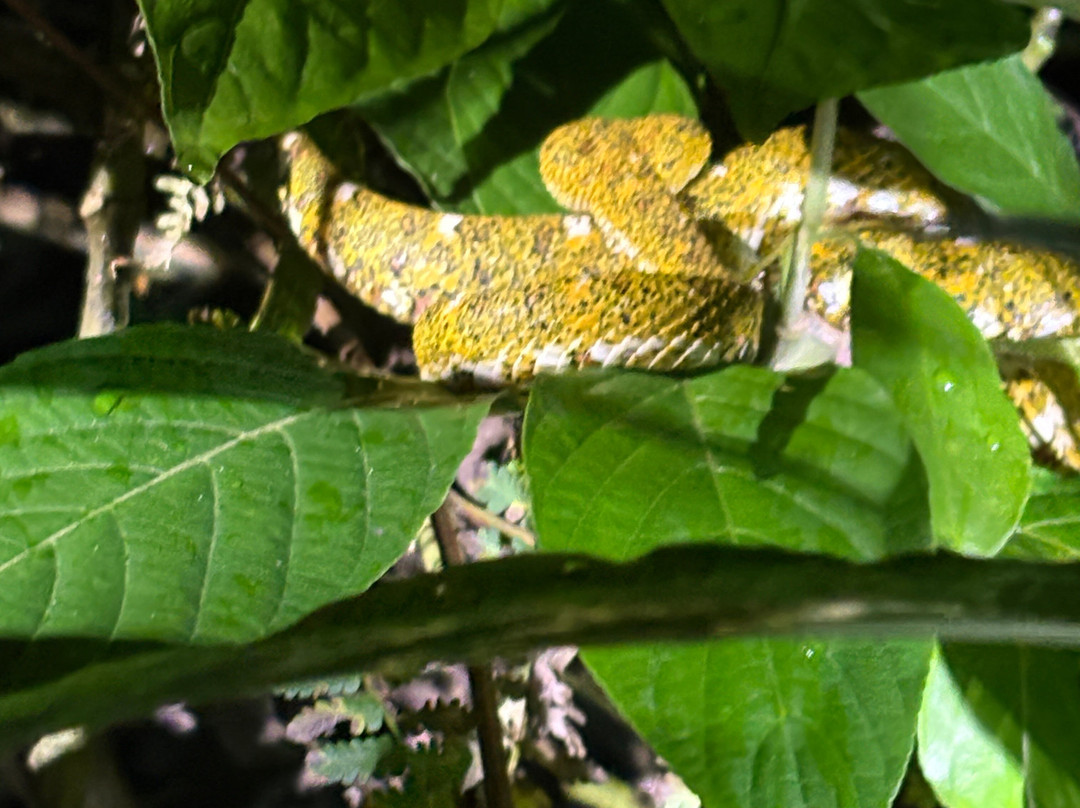 Tapir Valley Nature Reserve-Bijagua de Upala必去景点