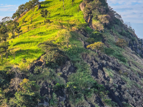EMI Tours - Sri Lanka-Waikkal必去景点