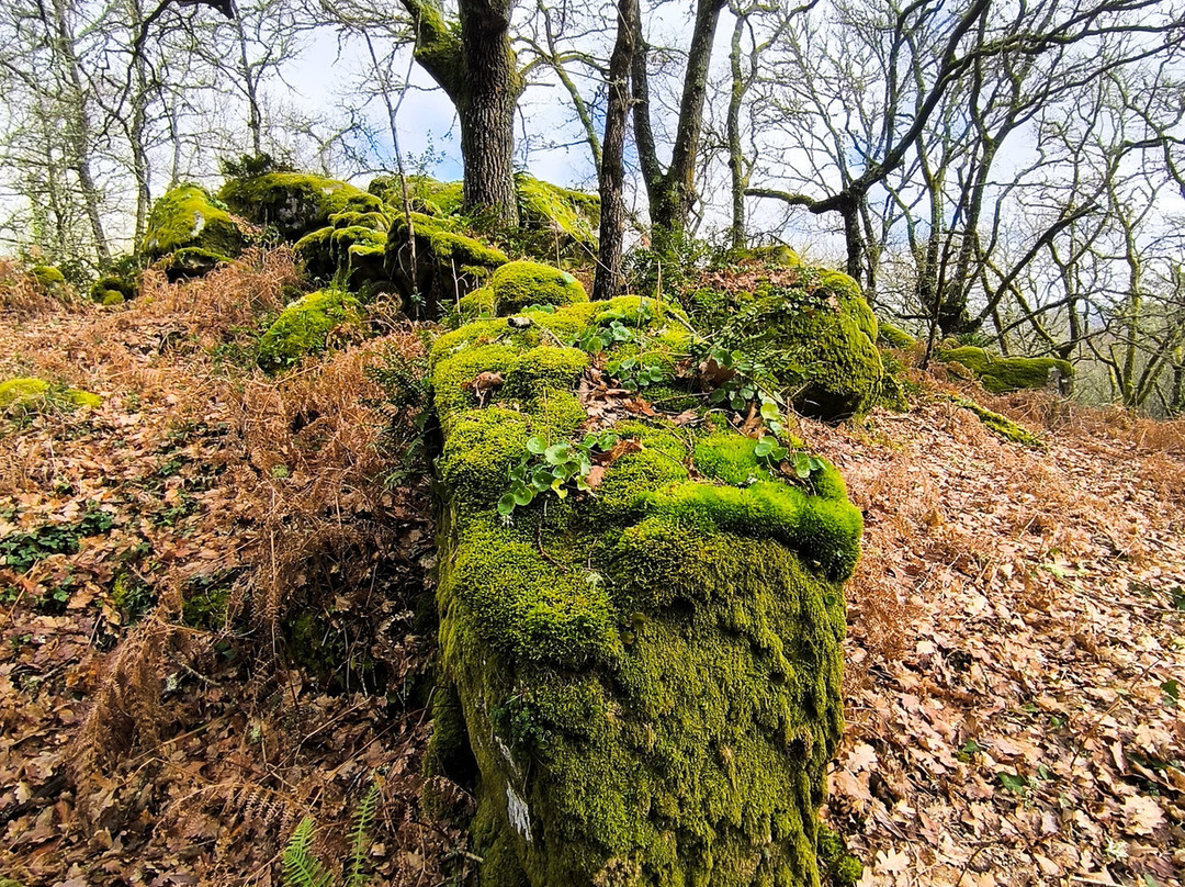 圣水之家旅馆主图