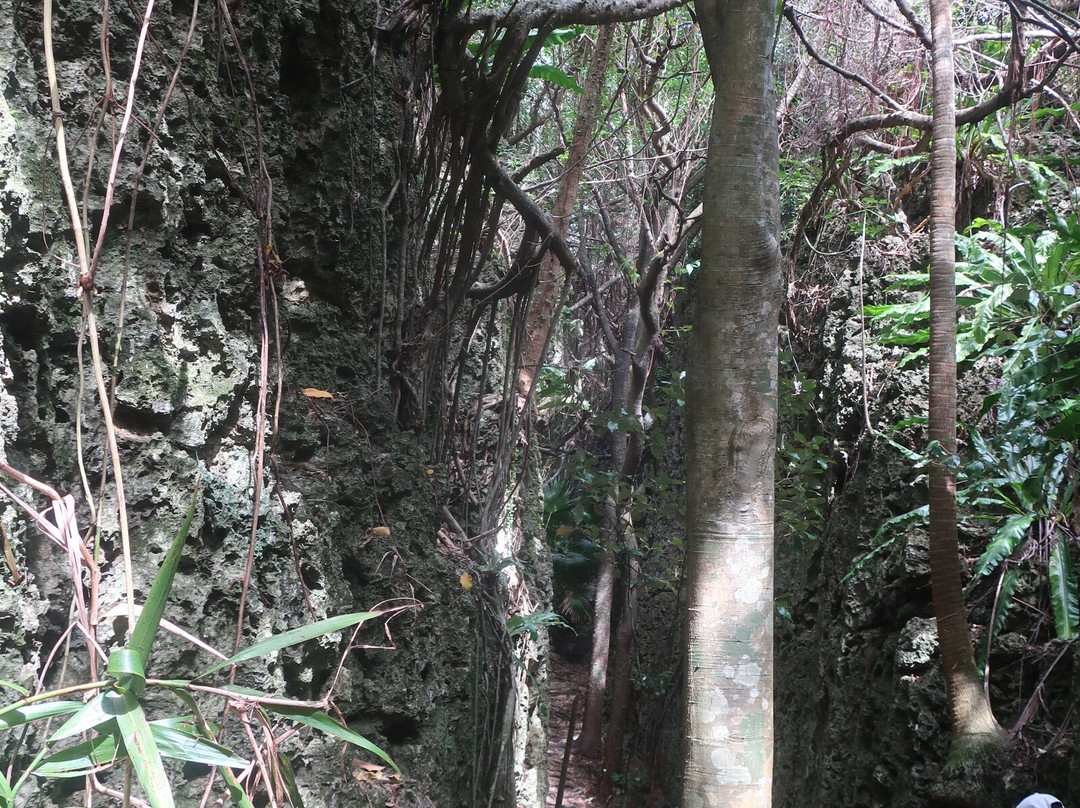 Baribari Rock-南大东村必去景点