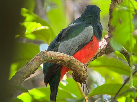 Morpho Vans-圣何塞必去景点