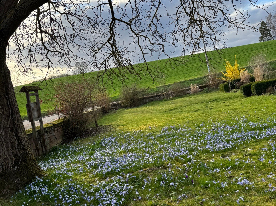 克洛斯特穆尔兰迪伊尔酒店主图