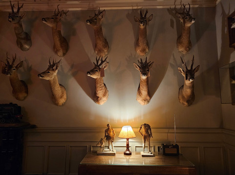 鲁德洛阿姆斯酒店