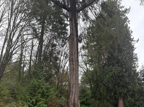 Stalking Seattle, A Music History Sightseeing Tour-西雅图必去景点