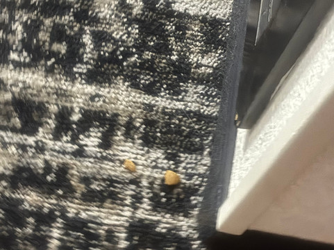 辛辛那提布鲁艾施凯悦嘉轩酒店主图