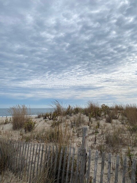 Cape Henlopen State Park-刘易斯必去景点