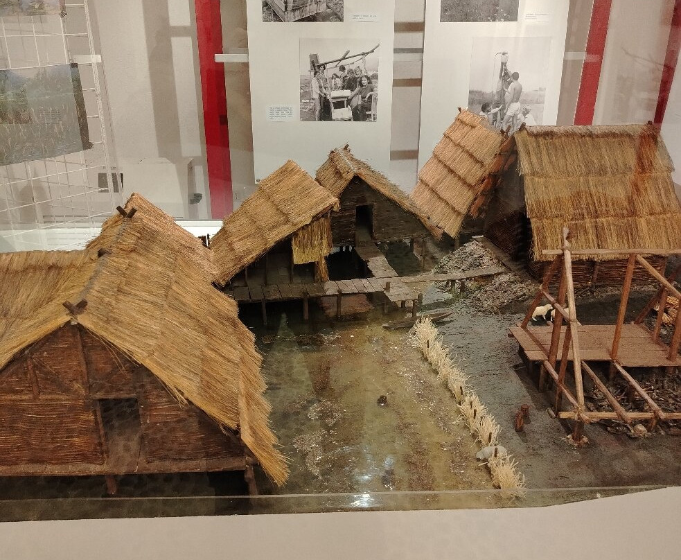 Museo delle Palafitte di Fiavé-Fiave必去景点