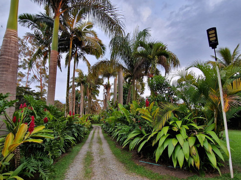 Hacienda Hotel El Percal主图