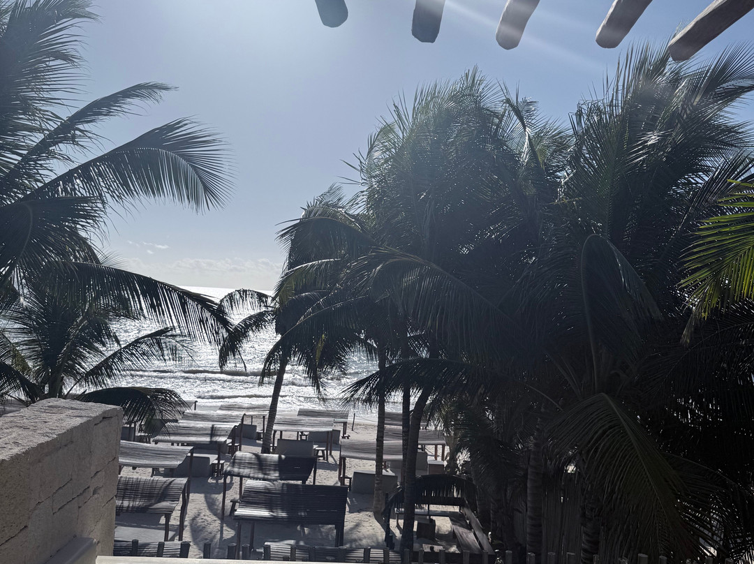 玛夏那比酒店主图