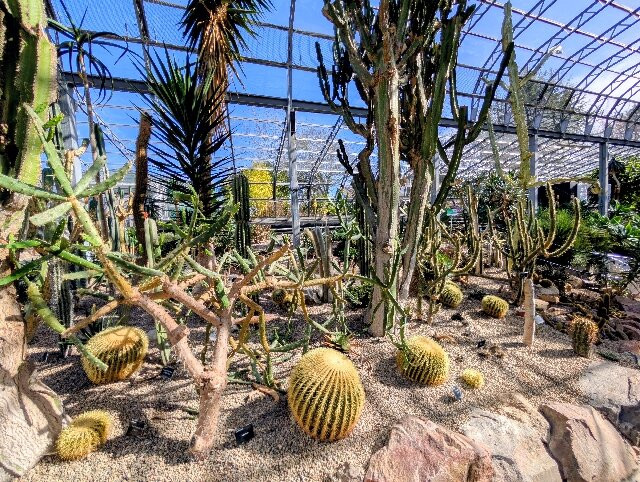 Duthie Park Winter Gardens-阿伯丁必去景点