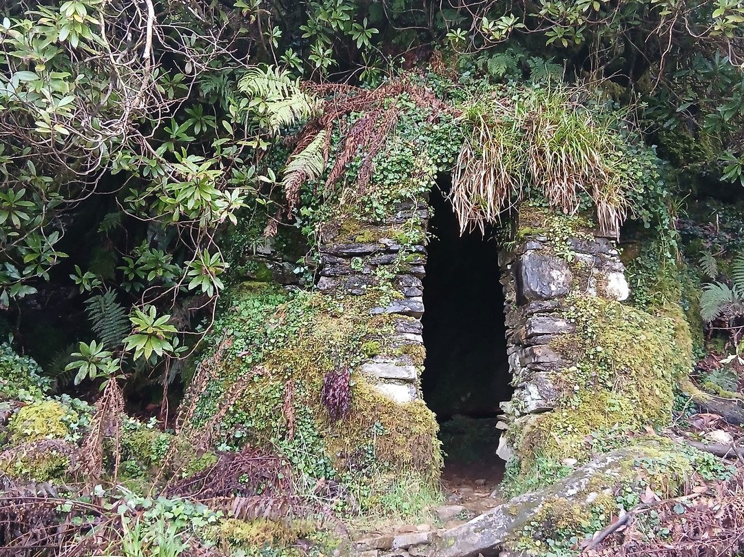 Torc Mountain Walk-基拉尼必去景点