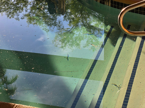 北拉斯维加斯贝斯特韦斯特优质酒店主图