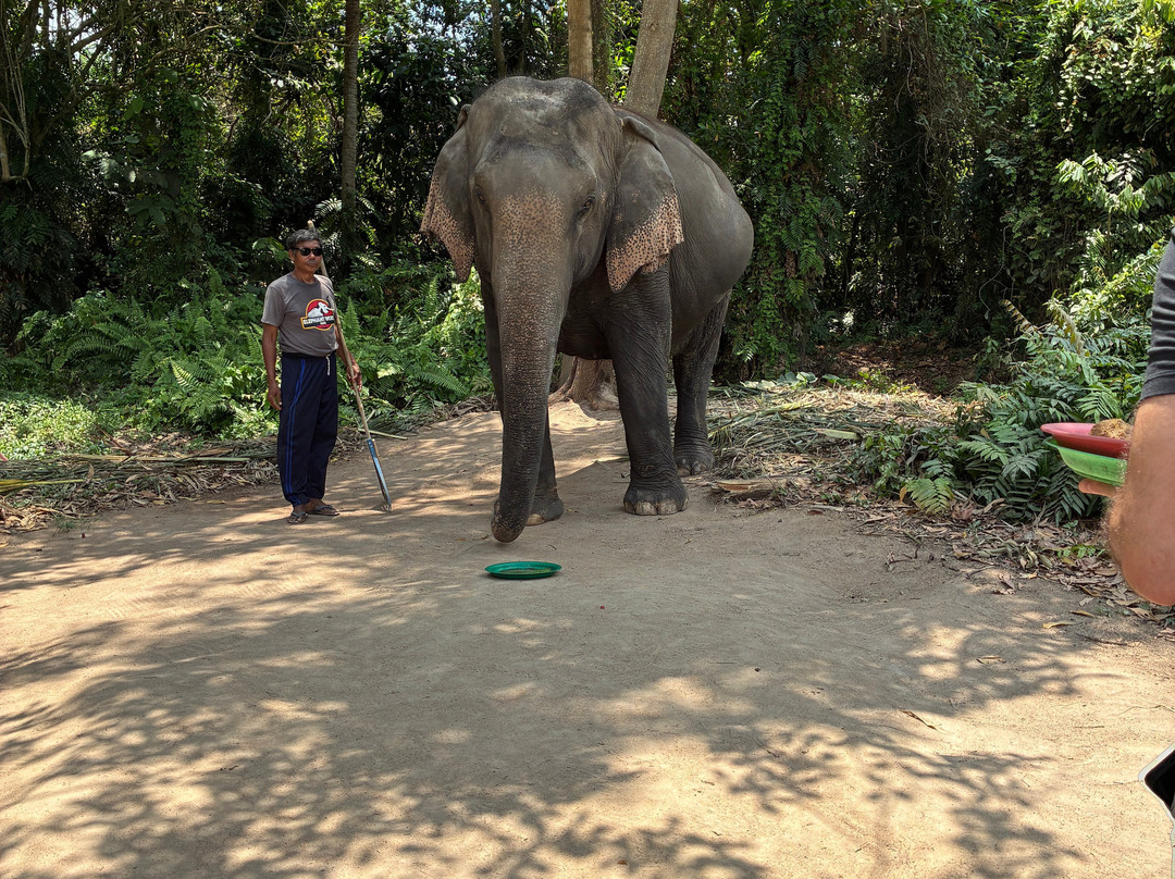 I Love Elephant Samui-Na Mueang必去景点