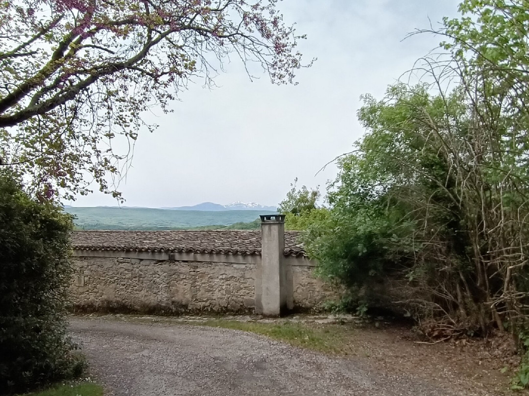 Chateau de Chalabre-Chalabre必去景点