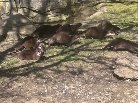 Hamerton Zoo Park-Sawtry必去景点