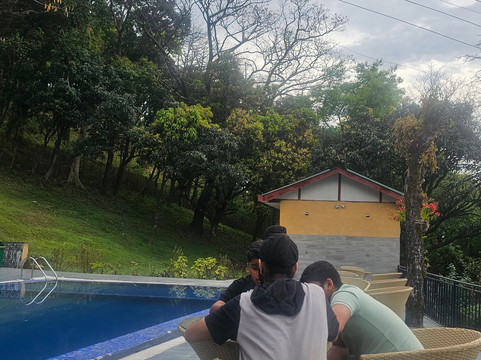 Tree of Life Birdsong Chalets主图