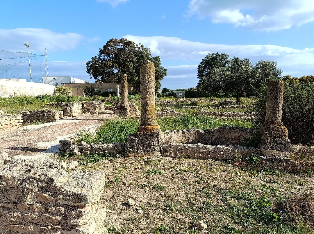 Pupput Roman Site-哈玛麦德必去景点