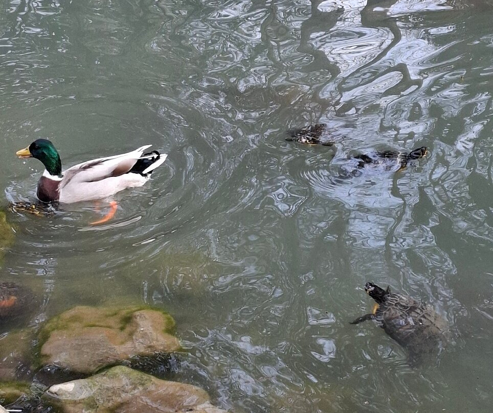 Parco del Neto-卡伦扎诺必去景点