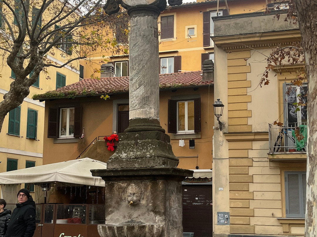 Frascati Centro storico-弗拉斯卡蒂必去景点