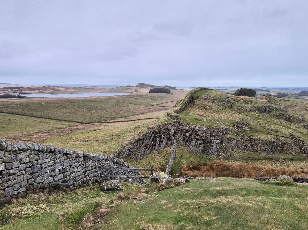 Hadrian's Wall-纽卡斯尔必去景点